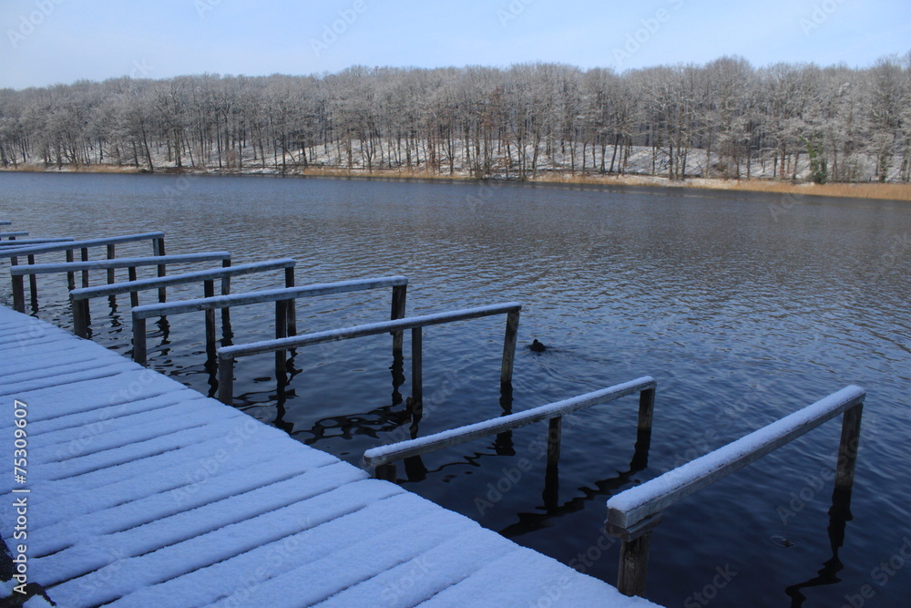 Fototapeta premium Winter am Schlachtensee in Berlin