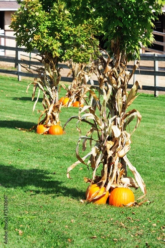 Slika na platnu Thanksgiving Decorations