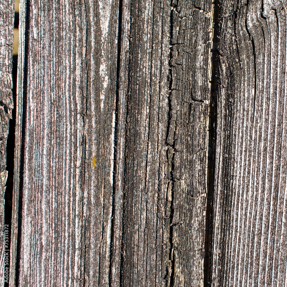 Obraz premium wood background