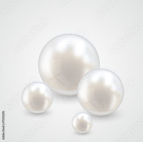 Beautiful realistic pearl set illustration vector