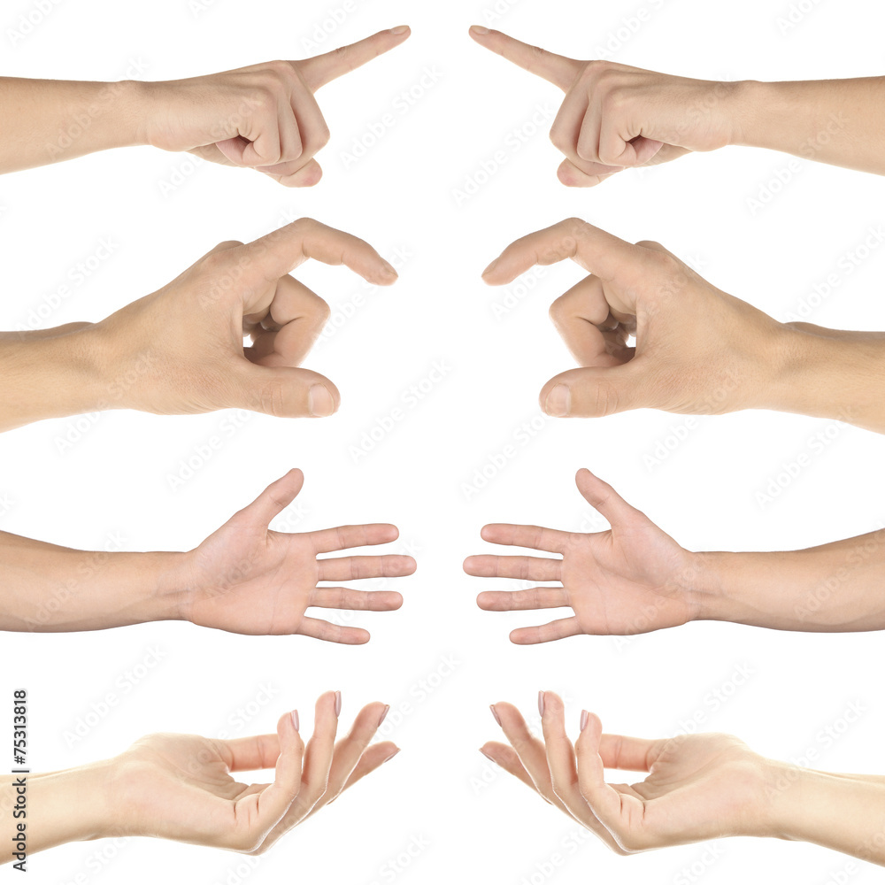 Hand collage, gestures set isolated on white Hand collage, gestures set isolated on white
