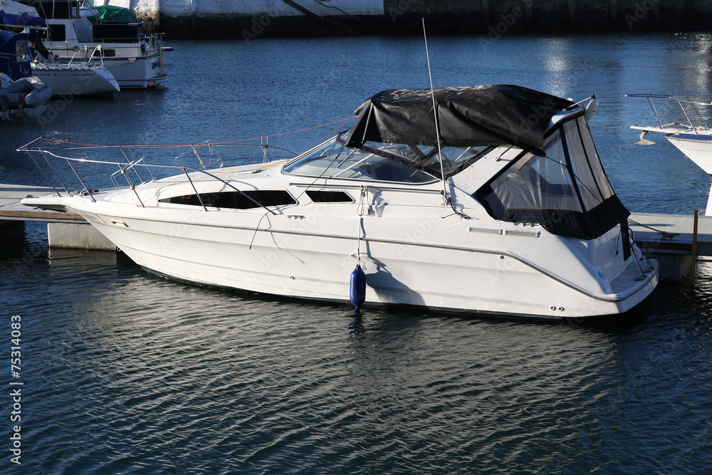 Fototapeta premium Luxurious Boat