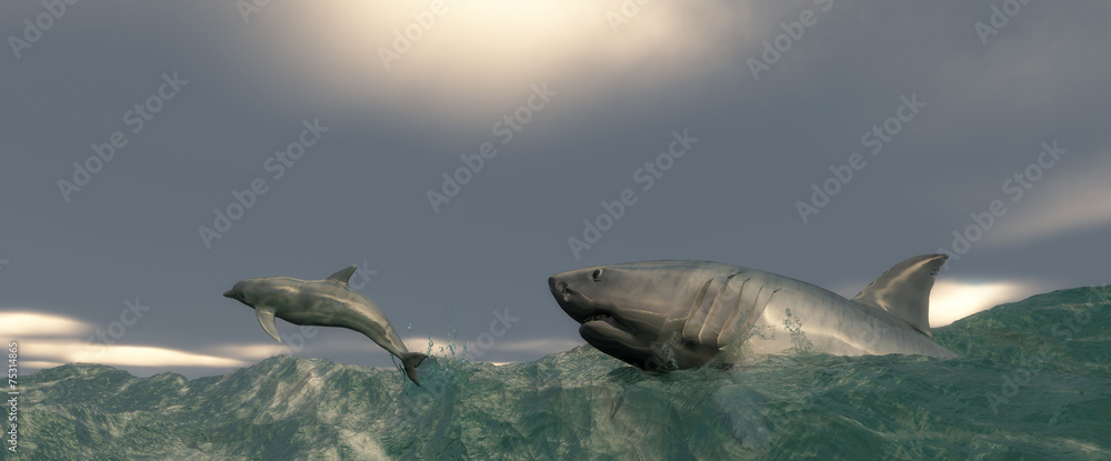 Fototapeta premium Mamifero marino