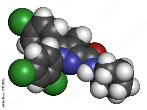 Rimonabant obesity drug molecule (withdrawn).  photo