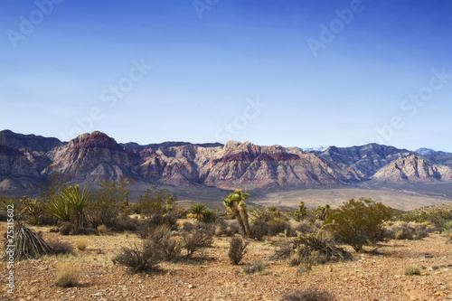 Photography Red Rock Canyon
