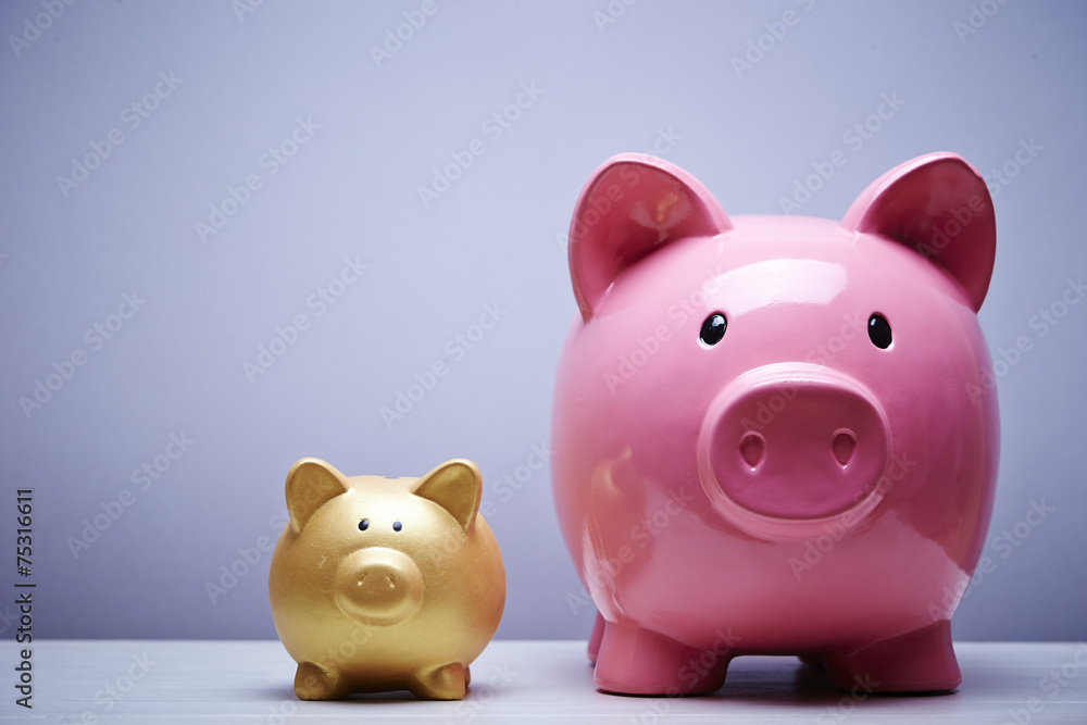 Fototapeta premium Piggy bank