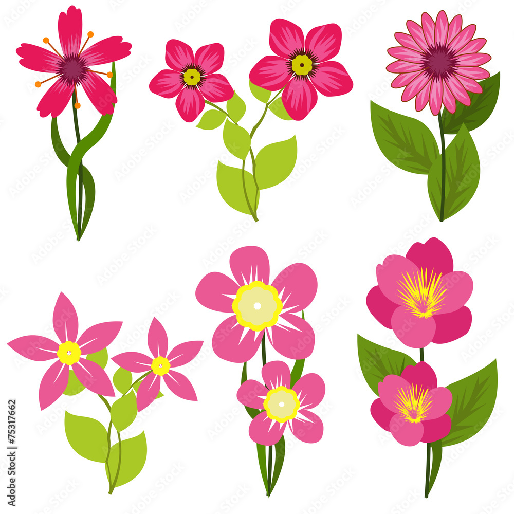 Spring flower Spring flower