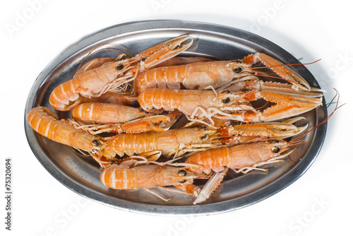 Norway lobster on white background