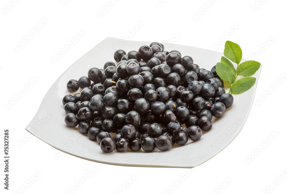 Blueberry Blueberry