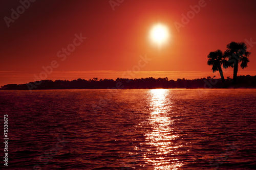 Sonnenuntergang mit Palmen