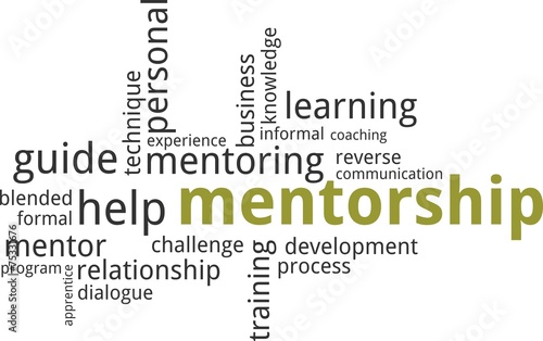 word cloud - mentorship