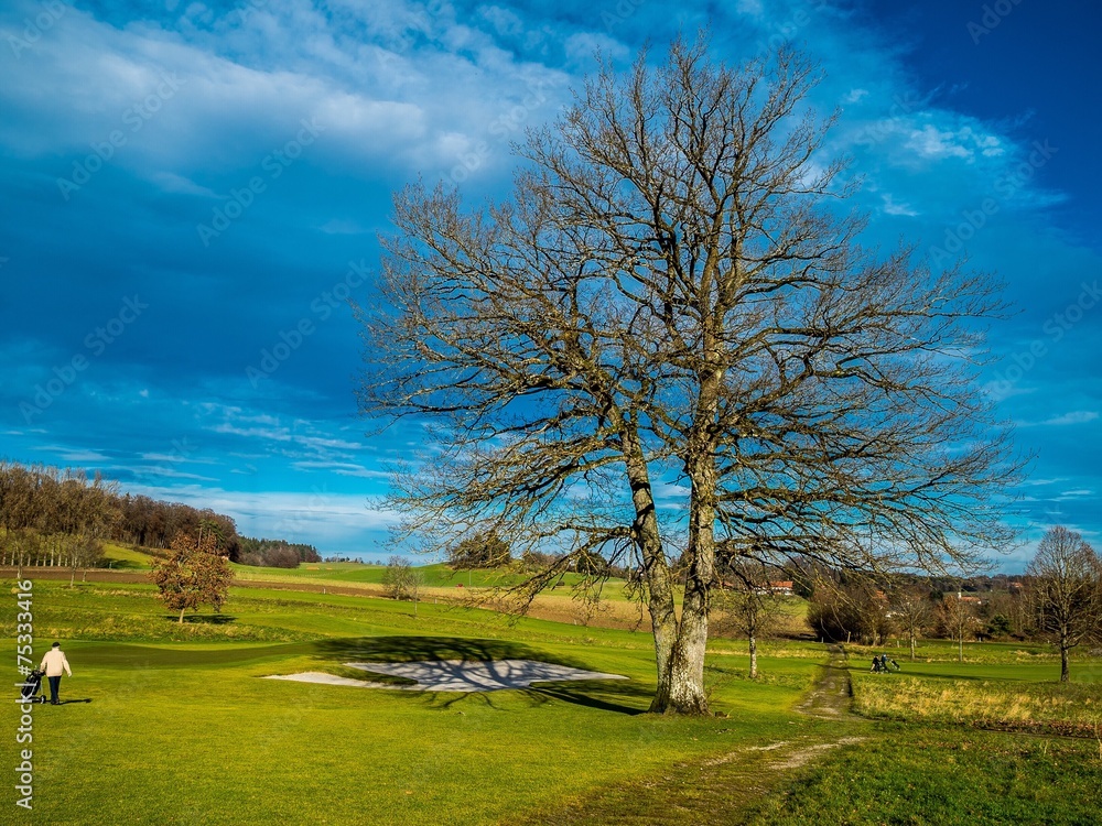 Obraz premium Golfen im Spätherbst
