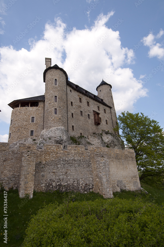 knight's castle in Bobolice, Poland