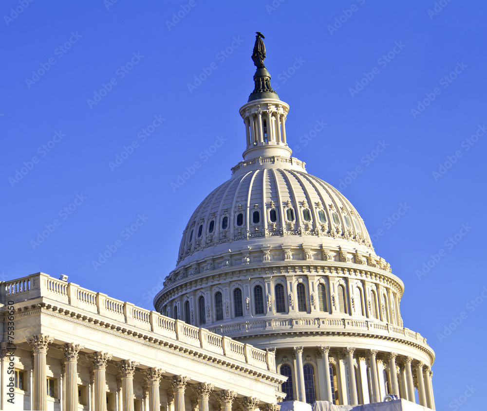 Obraz premium Washington, DC. Capitol
