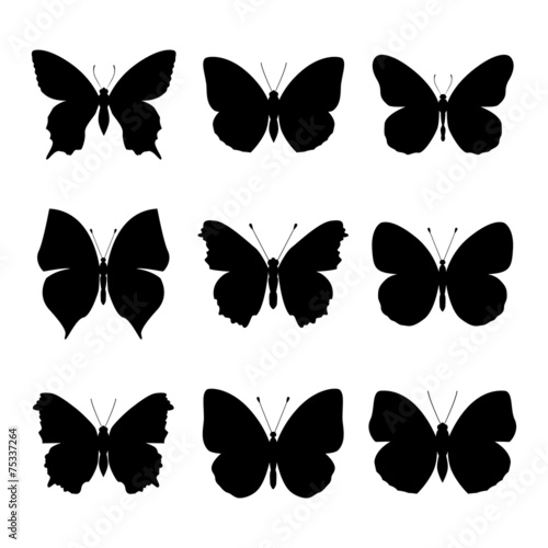 set: Butterfly silhouette