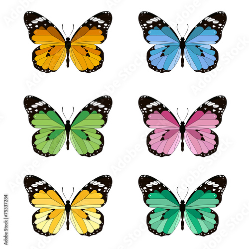 set butterfly