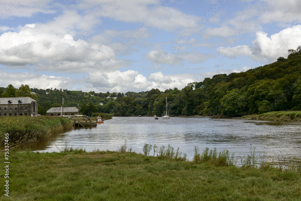 Tamar river at Cotehele, Cornwall