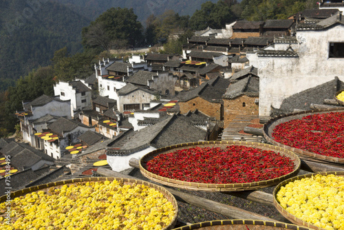 wuyuan,the most beautiful village in China photo