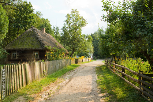 Road through traditional wooden village #75339695