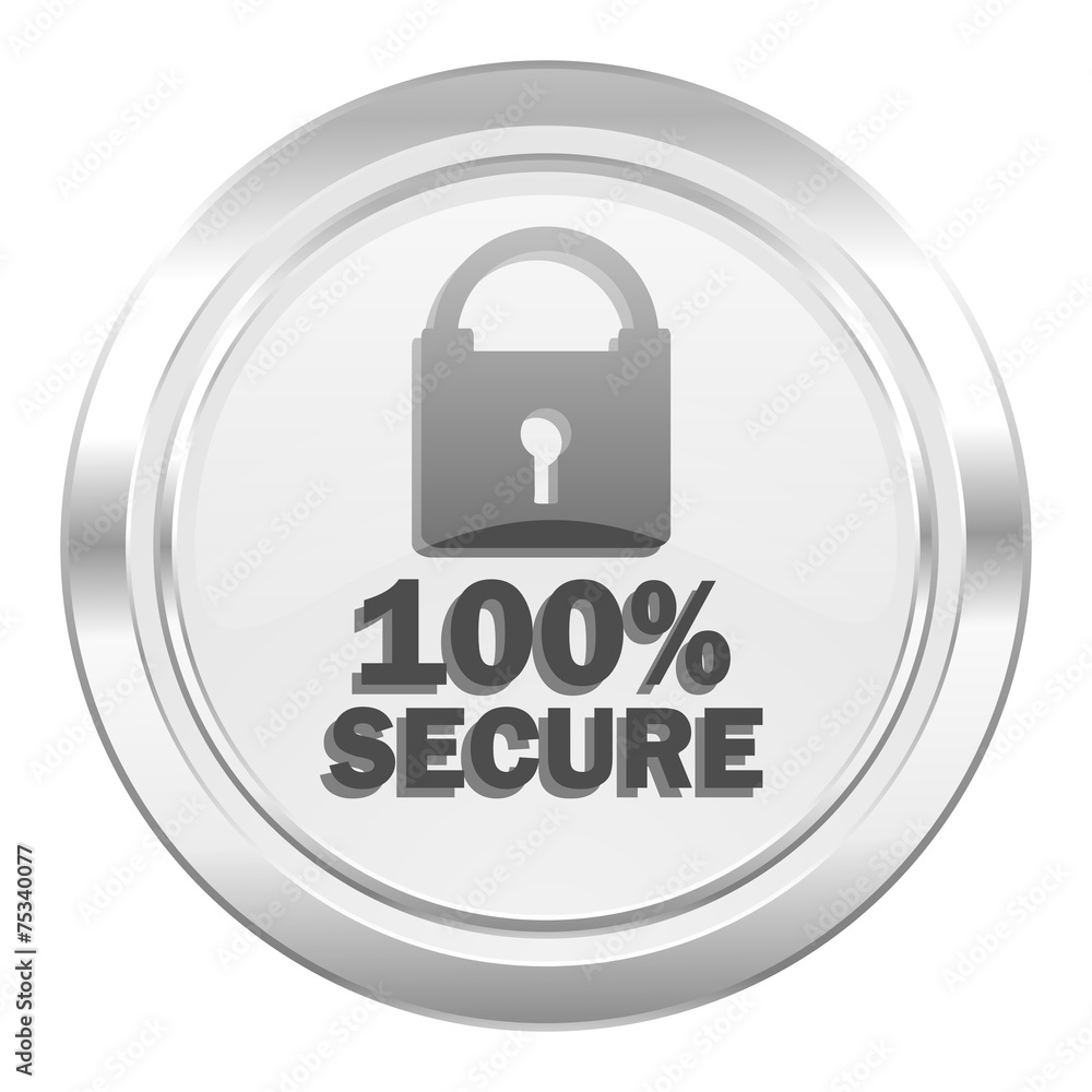 secure metallic icon