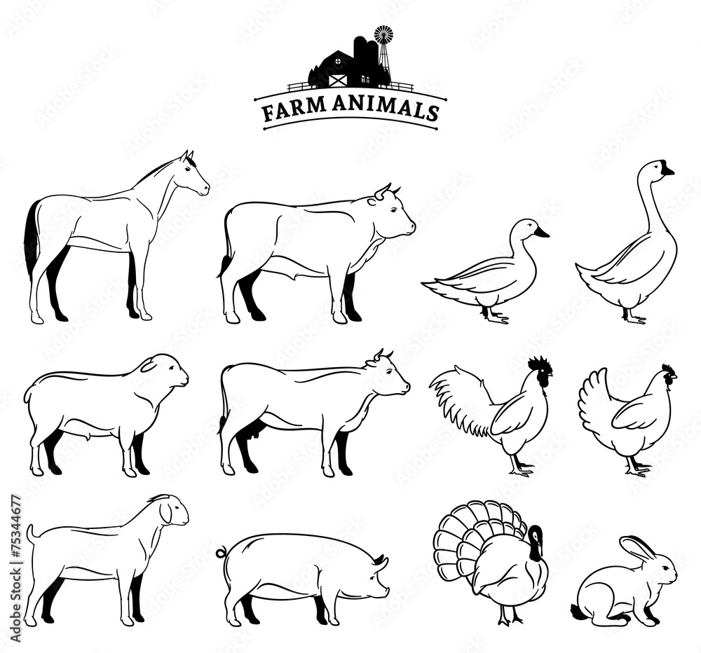 Vector Farm Animals Isolated on White