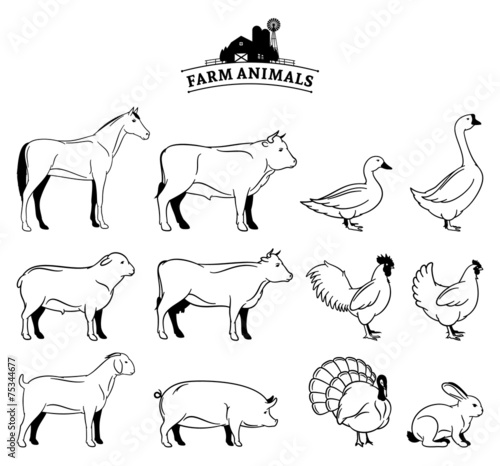 Vector Farm Animals Isolated on White