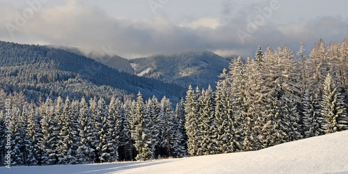 winter in den bergen photo