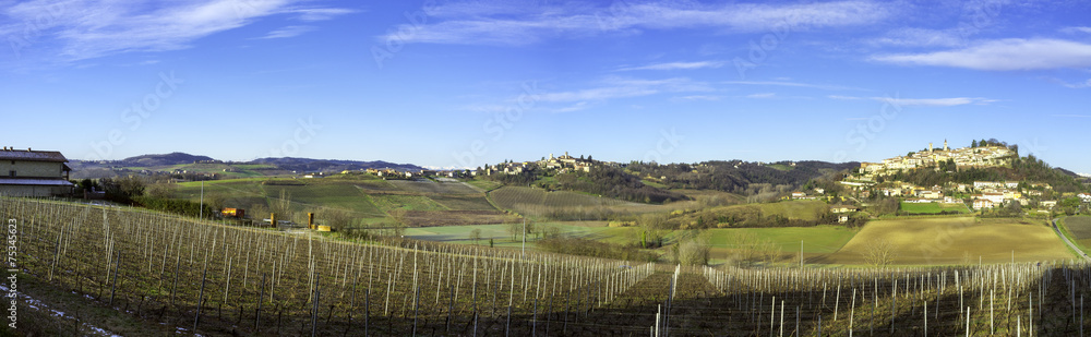 Monferrato winter panorama. Color image