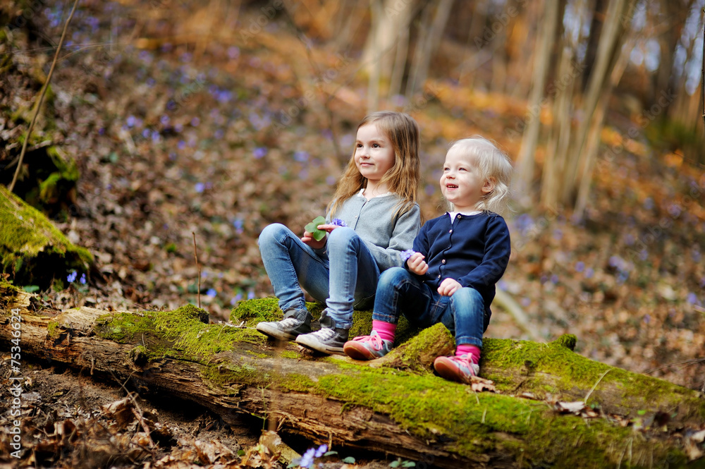 Two sisters picking the first flowers of spring Two sisters picking the first flowers of spring