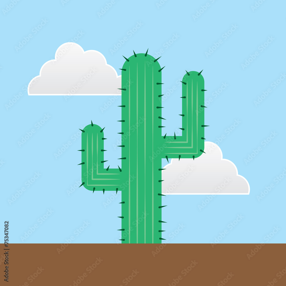 Green cactus outside in the desert