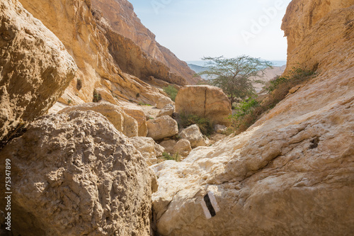 Huge stones in desert canyon.