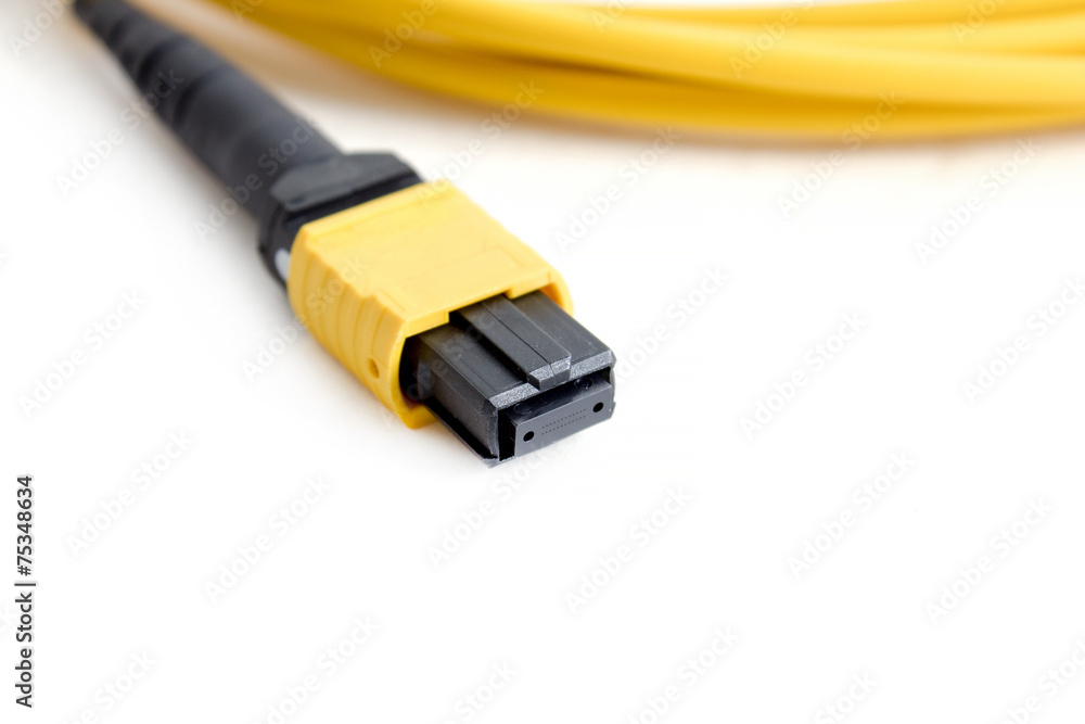Ribbon fiber optic patchcord with connector MTP Ribbon fiber optic patchcord with connector MTP