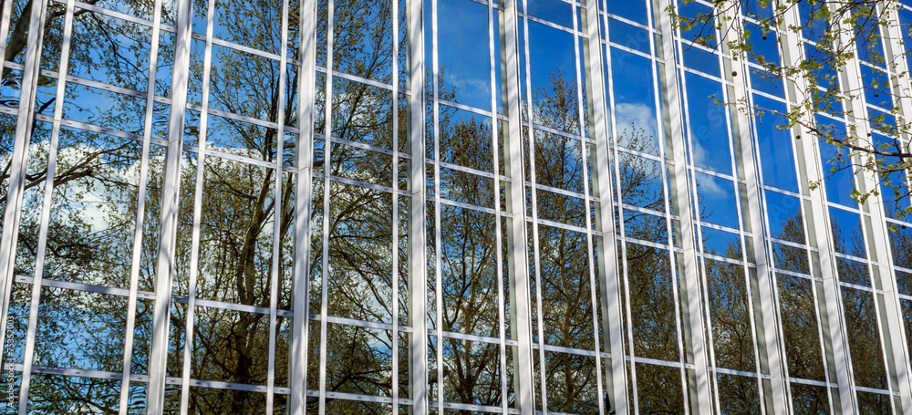 reflection of trees in glass wall