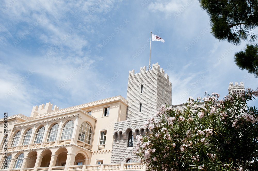 Fototapeta premium Castle of Monaco Monte Carlo