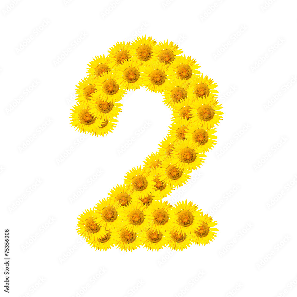 Sunflower alphabet isolated on white Sunflower alphabet isolated on white