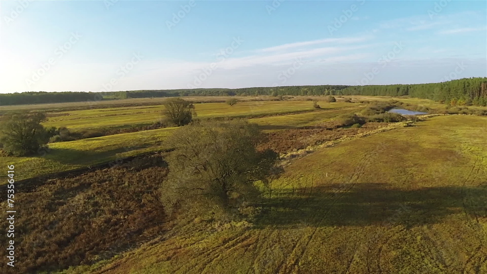 Slow flight over meadow with trees in autumn. Aerial shot Slow flight over meadow with trees in autumn. Aerial shot