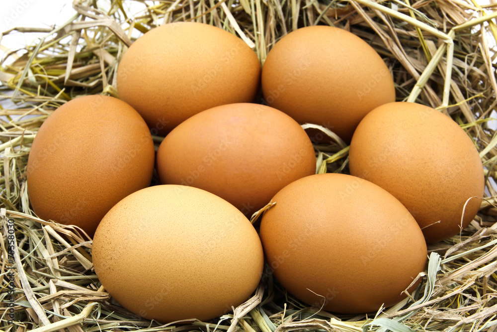 Eggs in a nest. Eggs in a nest.