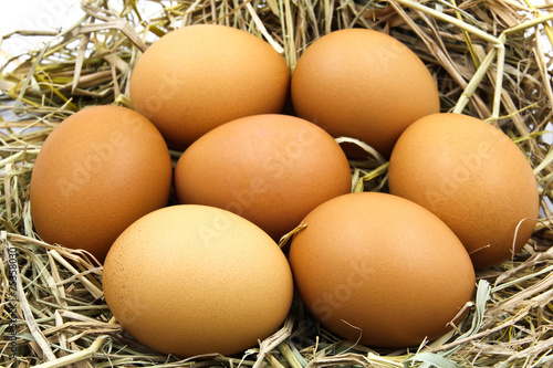 Eggs in a nest.