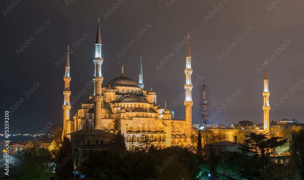 Obraz premium Blue Mosque in Istanbul at night