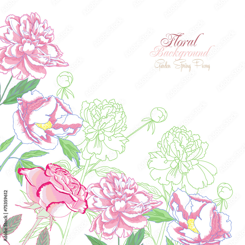 Background with peonies and pink rose-02 Stock Vector | Adobe Stock