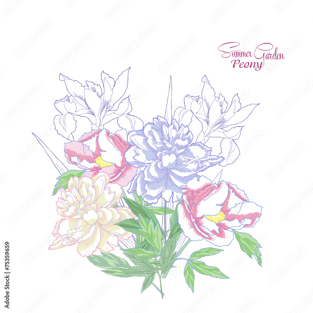 Background with color peonies and irises-02 Background with color peonies and irises-02