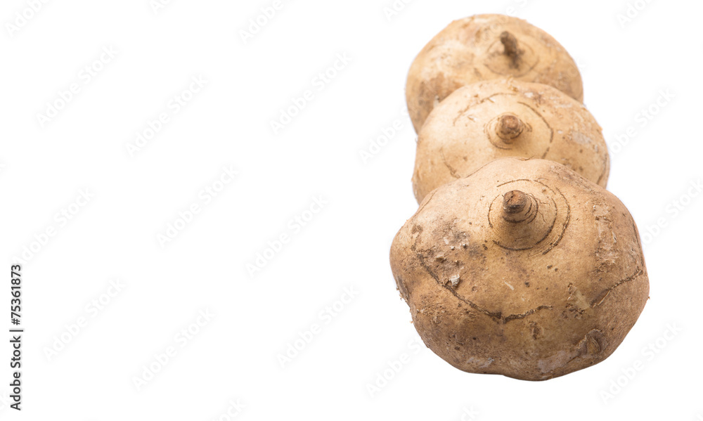 Fototapeta premium Jicama or Mexican yam over white background 