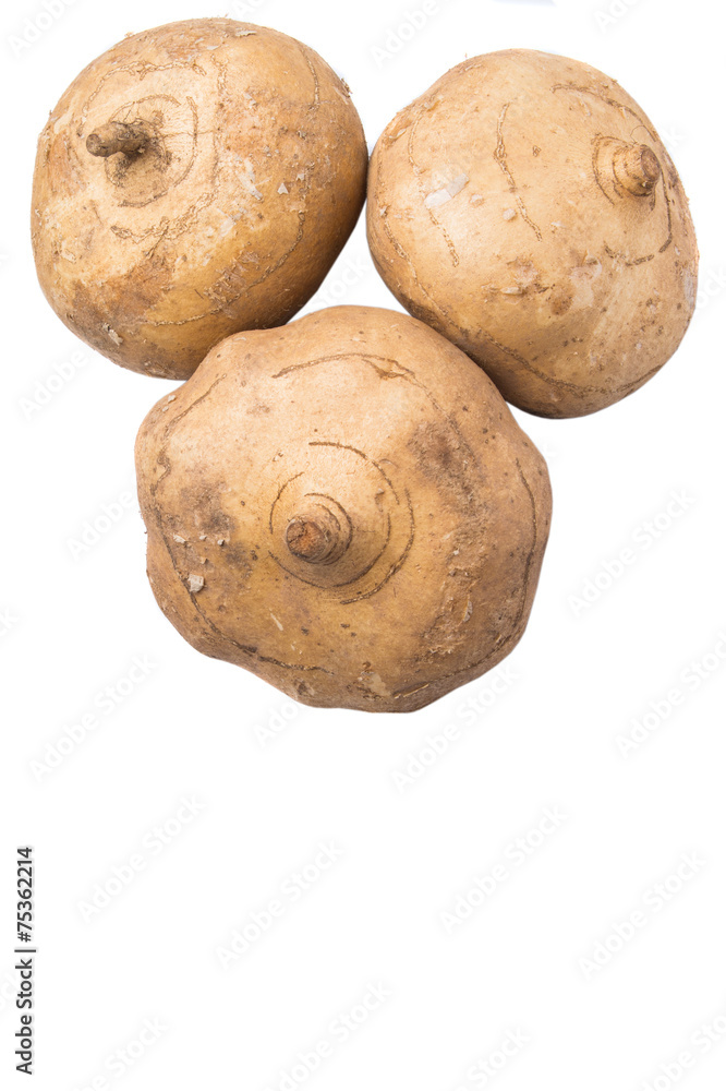 Fototapeta premium Jicama or Mexican yam over white background 