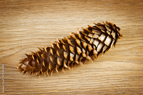 Pine cone © gertrudda