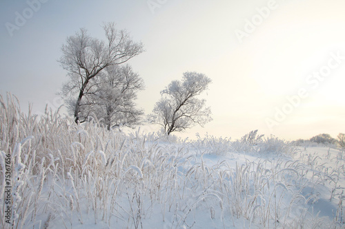 Wallpaper Mural winter landscape Torontodigital.ca
