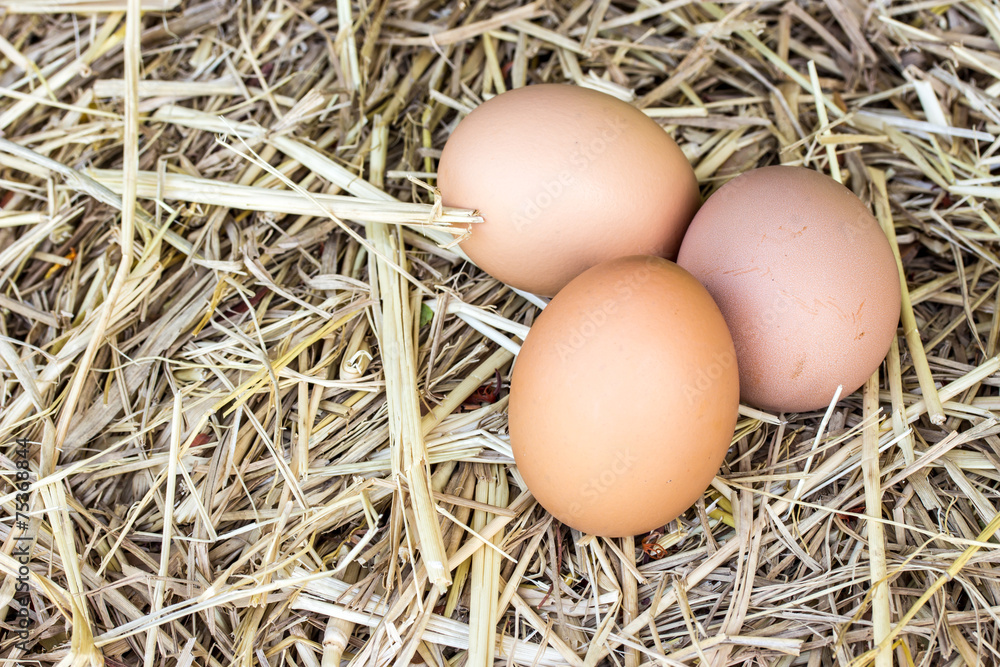 Chicken eggs on a straw bazaar counter Chicken eggs on a straw bazaar counter