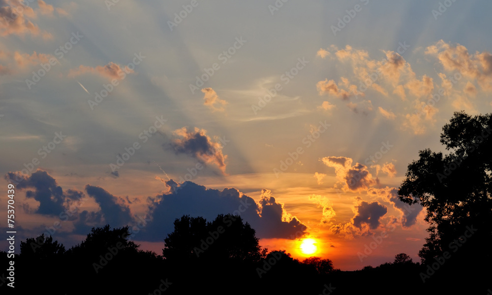 Fototapeta premium beautiful sunset with clouds