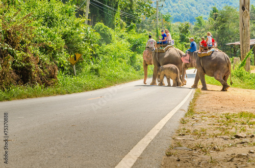 Elephant ride in elefant village near Chiang Mai, Thailand © A.Jedynak