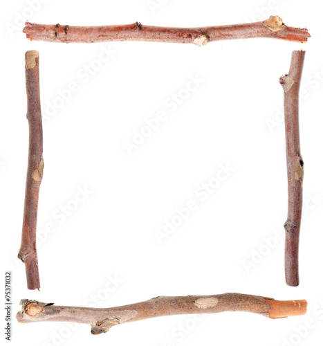 Canvas-taulu Dry tree branches isolated on white