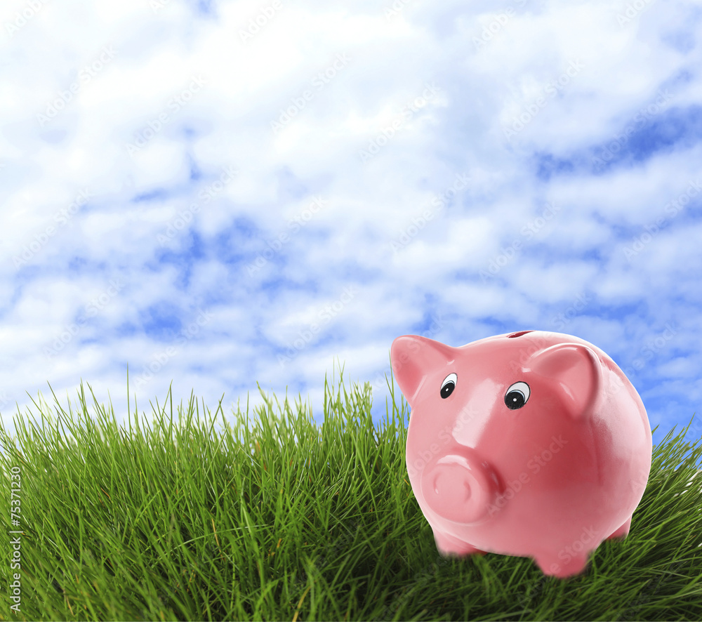 Piggy bank on field background